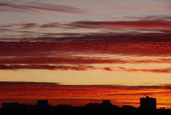 Логотипы: "Рассвет"