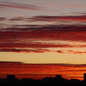 Логотипы: "Рассвет"