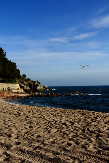 Логотипы: "Море"